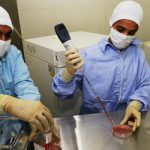 Italy approves law on stem cell therapy