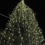 Is Rome’s Christmas tree really the ugliest in the world?