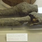 'Queen Nefertari's legs' found in northern Italy