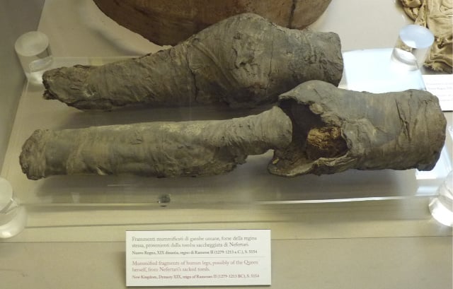 ‘Queen Nefertari’s legs’ found in northern Italy