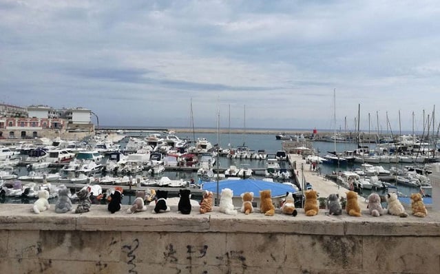 Why an army of toy cats has appeared in an Italian seaside town