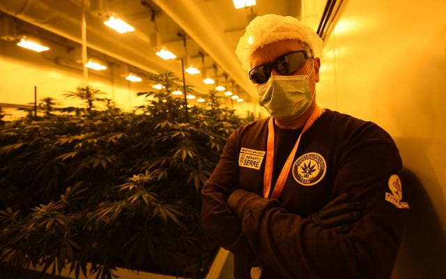 Marijuana, made in Italy: Inside the military police cannabis lab