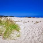 Why Italian environmentalists want you to buy Sardinia’s dunes