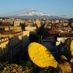 4.8 quake hits area near Sicily's Mount Etna