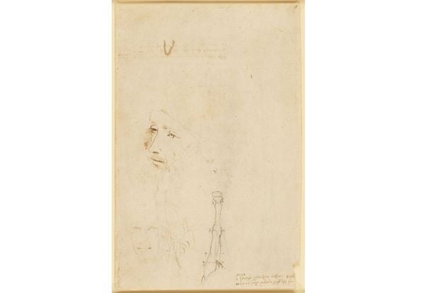 Newly identified Leonardo da Vinci portrait on show in London