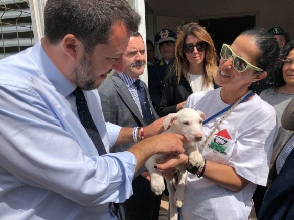 Italy’s Salvini and Berlusconi bet on pets to woo voters