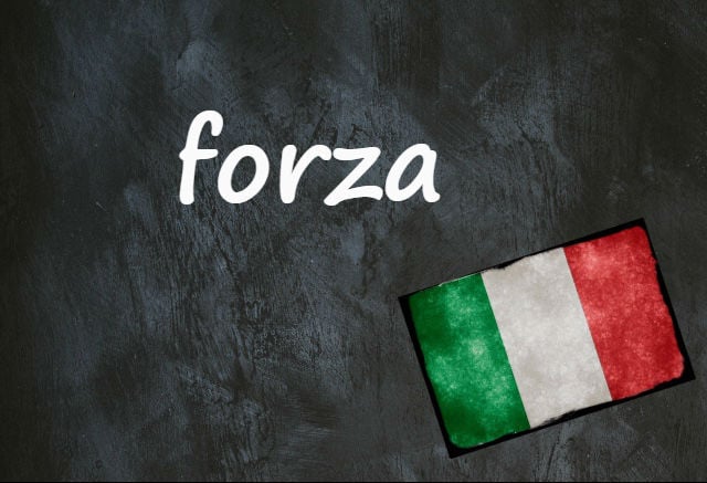 Forza italia meaning