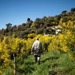 Why the coronavirus is hurting Italian farmers