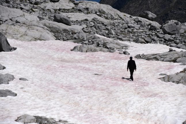 Pink ice in Italy’s Alps sparks algae probe