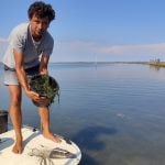 How Italian researchers and fishermen are working to restore Venice’s lagoon