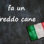 Italian expression of the day: 'Fa un freddo cane'